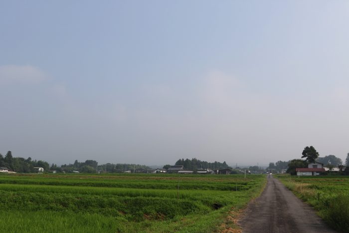 7月19日(木)　AM 7:54　前橋市苗ケ島町