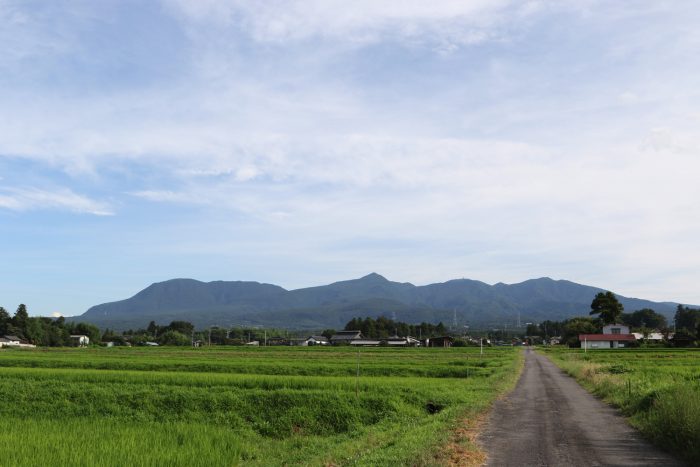 7月23日(月)　AM 7:38　前橋市苗ケ島町