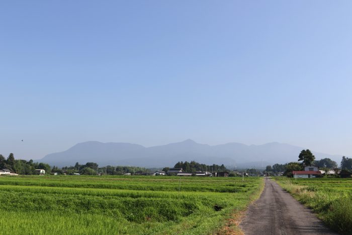 7月24日(火)　AM 7:33　前橋市苗ケ島町