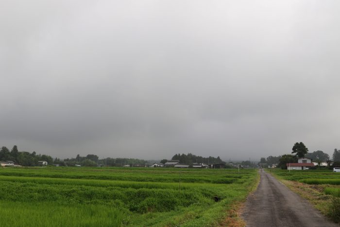 7月25日(水)　AM 7:36　前橋市苗ケ島町