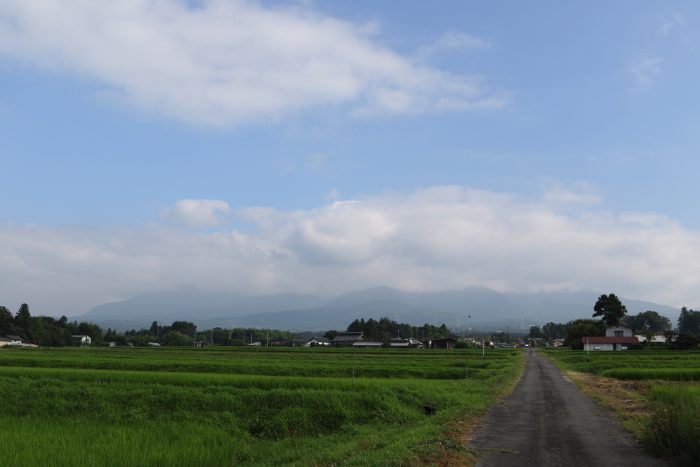 7月27日(金)　AM 7:47　前橋市苗ケ島町