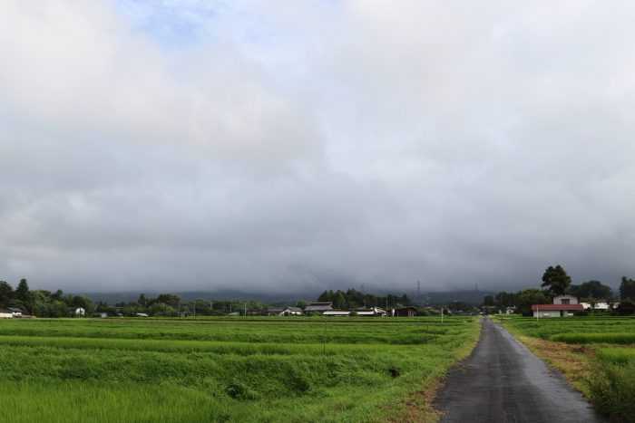 7月29日(日)　AM 7:34　前橋市苗ケ島町