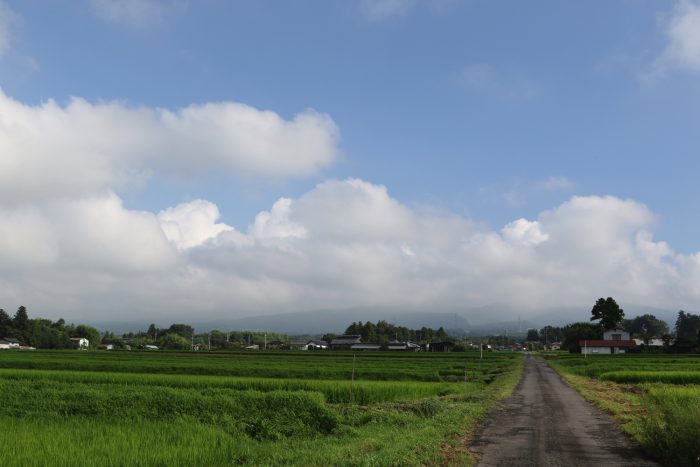 7月30日(月)　AM 7:32　前橋市苗ケ島町