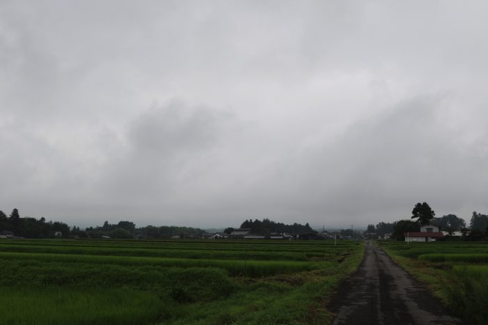 7月31日(火)　AM 7:26　前橋市苗ケ島町