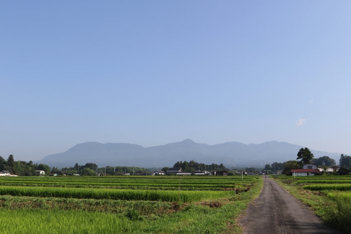 8月1日(水)　AM 7:34　前橋市苗ケ島町