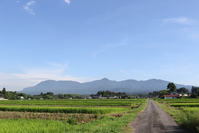 8月2日(木)　AM 7:34　前橋市苗ケ島町