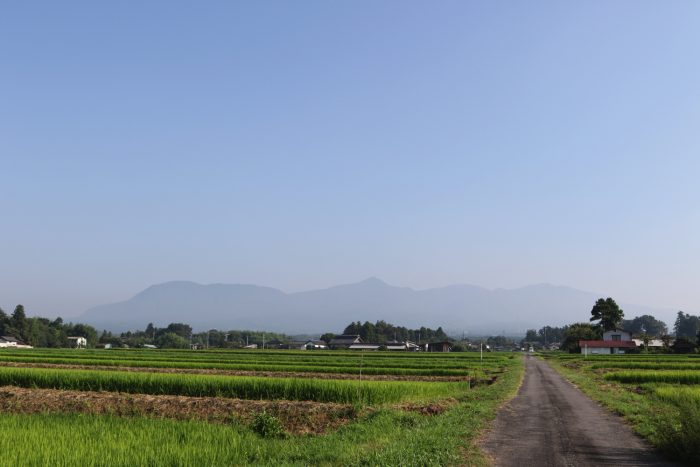 8月3日(金)　AM 7:32　前橋市苗ケ島町