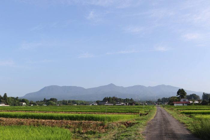 8月4日(土)　AM 7:01　前橋市苗ケ島町