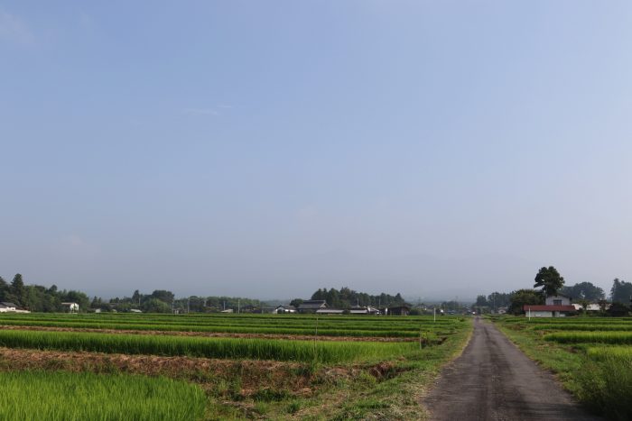 8月5日(日)　AM 7:34　前橋市苗ケ島町