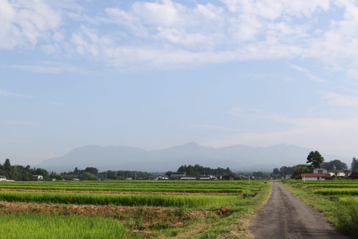 8月6日(月)　AM 7:34　前橋市苗ケ島町