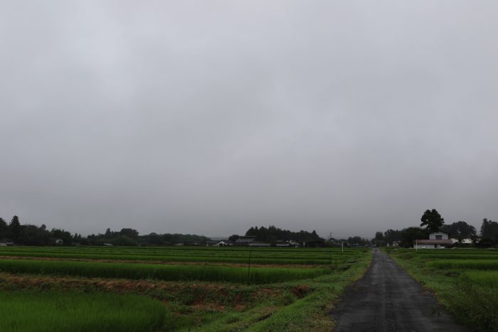 8月7日(火)　AM 7:40　前橋市苗ケ島町