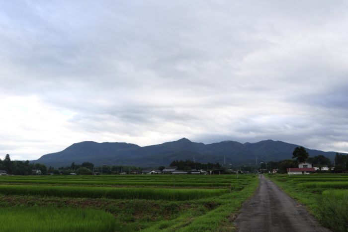 8月9日(木)　AM 7:37　前橋市苗ケ島町