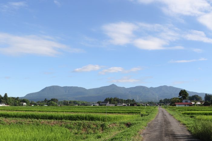 8月10日(金)　AM 7:37　前橋市苗ケ島町