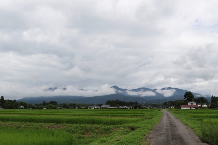 8月11日(土)　AM 9:44　前橋市苗ケ島町