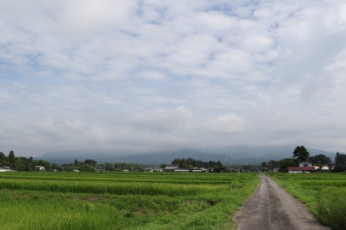 8月14日(火)　AM 9:30　前橋市苗ケ島町