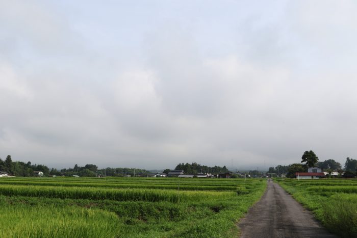 8月15日(水)　AM 7:32　前橋市苗ケ島町