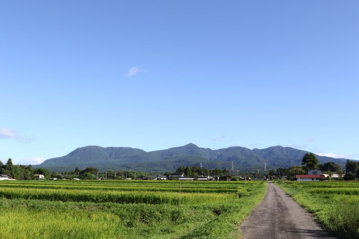 8月17日(金)　AM 7:36　前橋市苗ケ島町