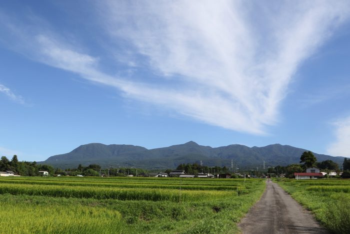 8月18日(土)　AM 7:56　前橋市苗ケ島町