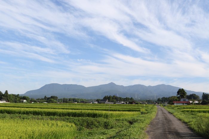 8月19日(日)　AM 7:19　前橋市苗ケ島町