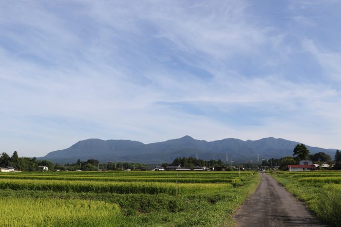 8月20日(月)　AM 7:33　前橋市苗ケ島町