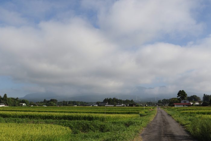 8月22日(水)　AM 7:29　前橋市苗ケ島町