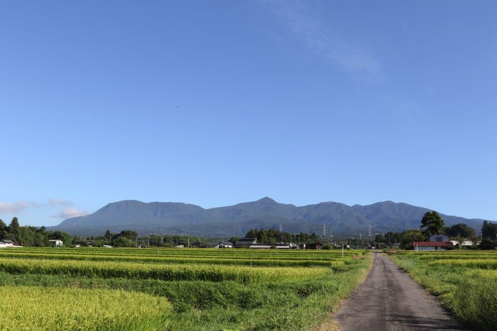 8月23日(木)　AM 7:34　前橋市苗ケ島町