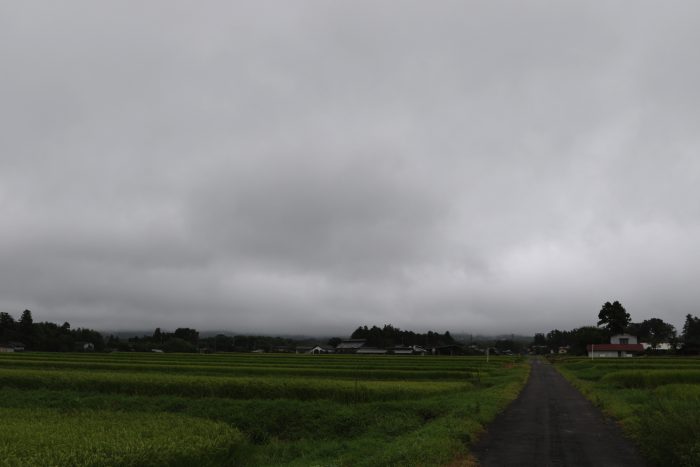 8月24日(金) 　AM 7:35　前橋市苗ケ島町