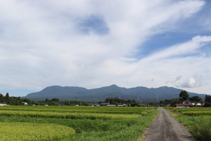 8月26日(日)　AM 8:51　前橋市苗ケ島町