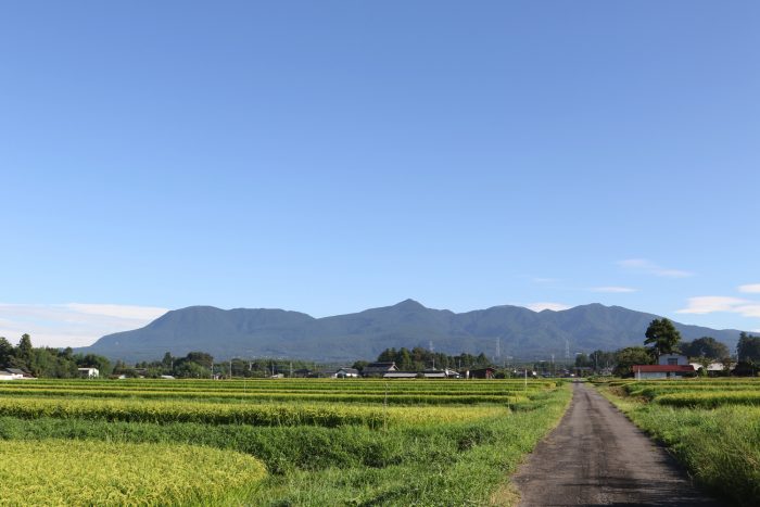 8月27日(月)　AM 7:19　前橋市苗ケ島町