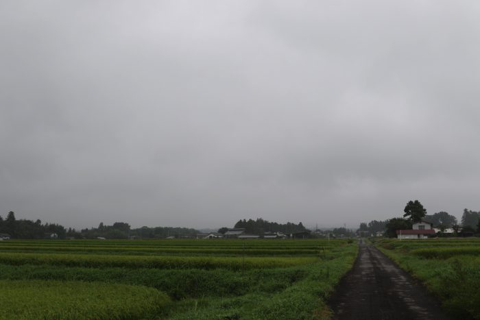 8月28日(火)　AM 7:32　前橋市苗ケ島町