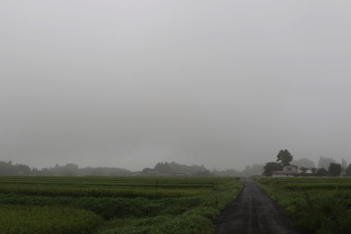 8月29日(水)　AM 7:36　前橋市苗ケ島町