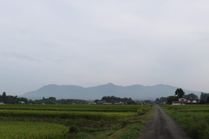 8月31日(金)　AM 7:28　前橋市苗ケ島町