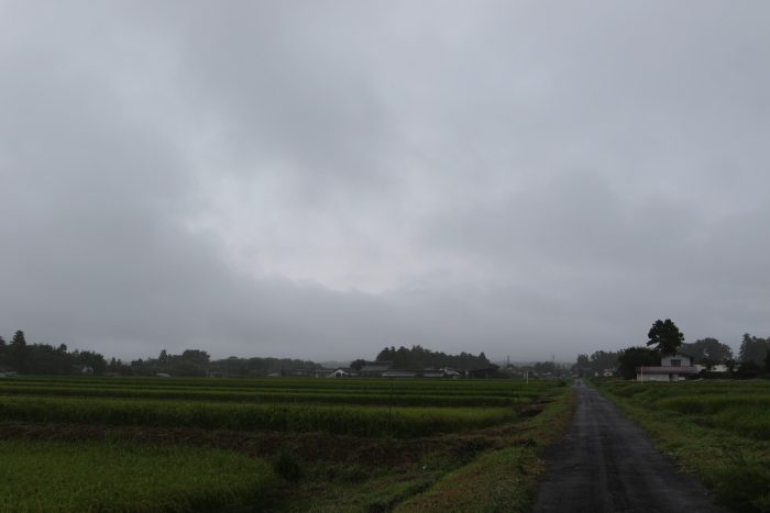 9月3日(月)　AM 7:31　前橋市苗ケ島町