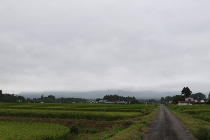 9月4日(火)　AM 7:38　前橋市苗ケ島町