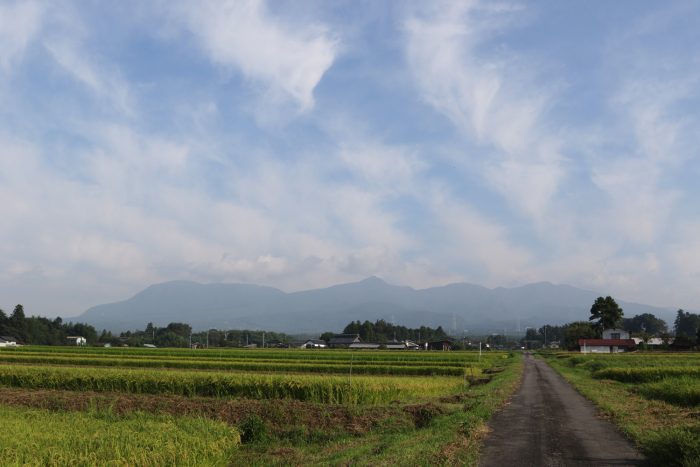 9月6日(木)　AM 7:35　前橋市苗ケ島町