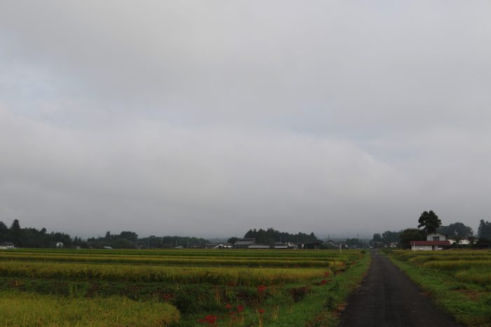 9月14日(金)　AM 7:38　前橋市苗ケ島町