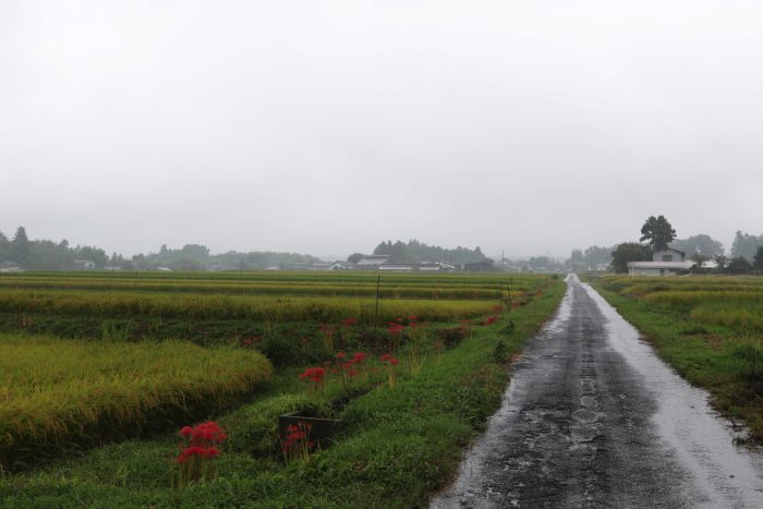 9月15日(土)　AM 9:32　前橋市苗ケ島町