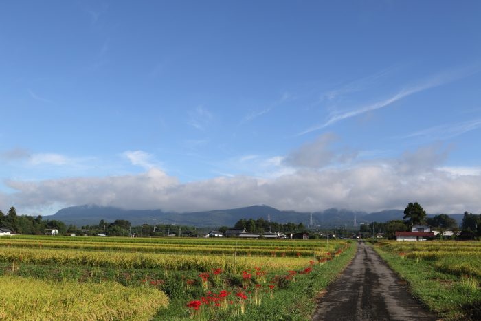 9月16日(日)　AM 7:48　前橋市苗ケ島町