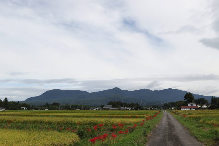 9月17日(月)　AM 9:35　前橋市苗ケ島町