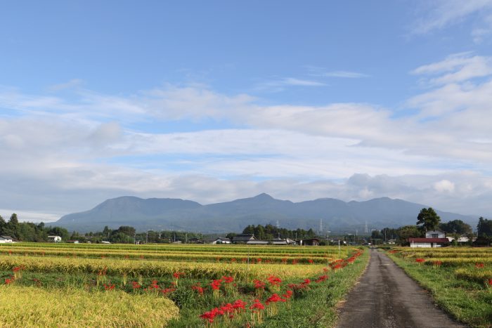 9月18日(火)　AM 7:28　前橋市苗ケ島町