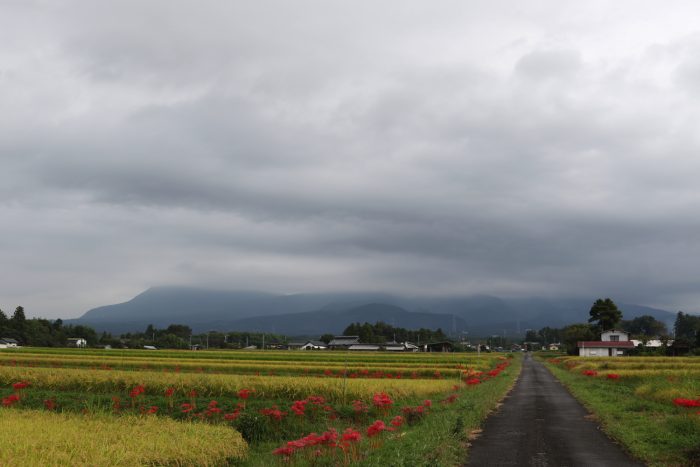 9月20日(木)　AM 7:23　前橋市苗ケ島町