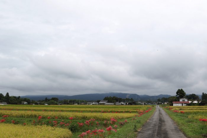 9月22日(土)　AM 9:33　前橋市苗ケ島町