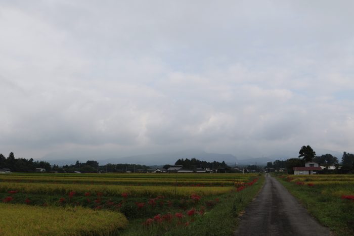 9月23日(日)　AM 7:43　前橋市苗ケ島町