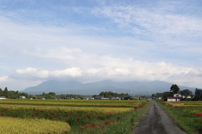 9月24日(月)　AM 8:50　前橋市苗ケ島町