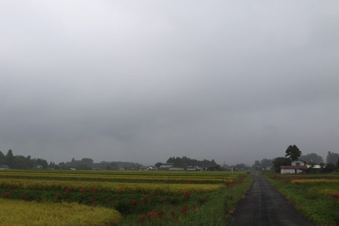 9月25日(火)　AM 8:24　前橋市苗ケ島町