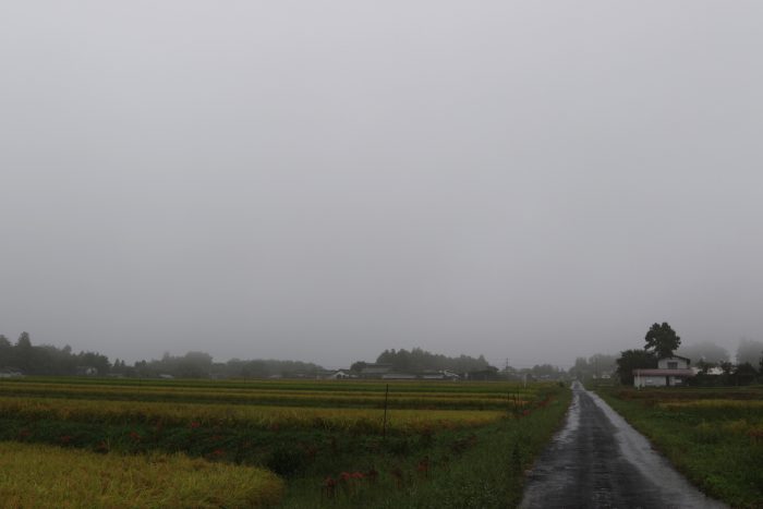 9月27日(木)　AM 7:44　前橋市苗ケ島町