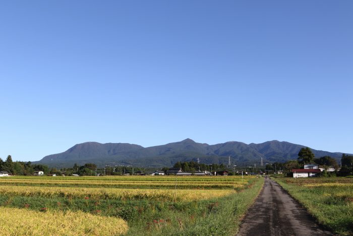 9月28日(金)　AM 7:22　前橋市苗ケ島町