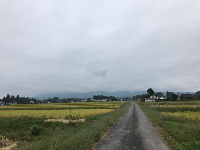 10月5日(金)　AM 7:58　前橋市苗ケ島町