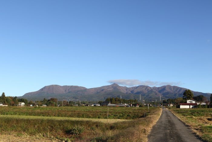 11月2日(金)　AM 7:31　前橋市苗ケ島町