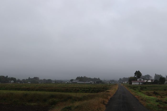 11月7日(水)　AM 7:39　前橋市苗ケ島町